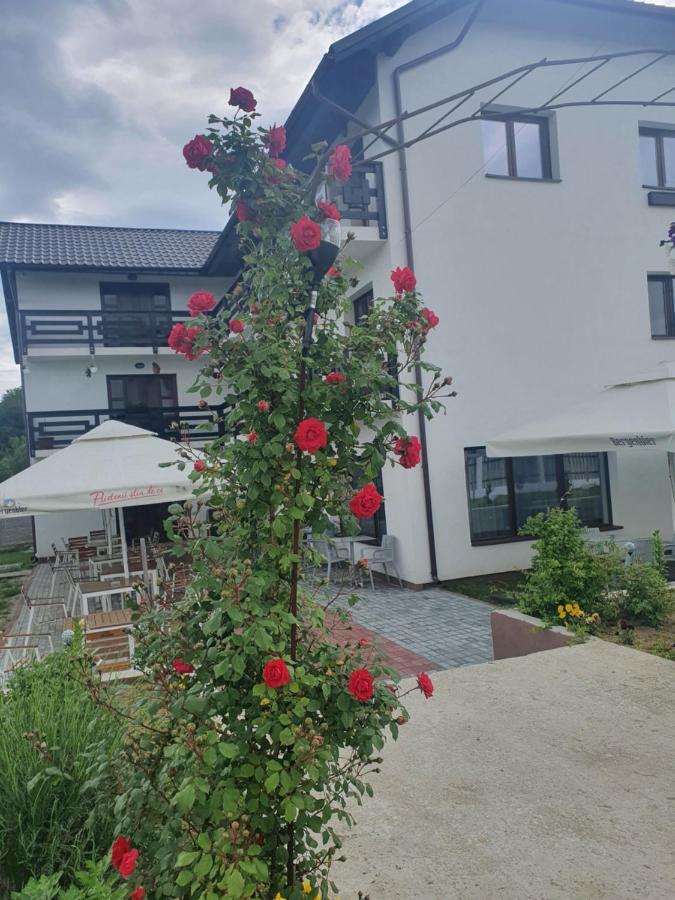 Pensiunea Ronicson Milostea Eksteriør bilde